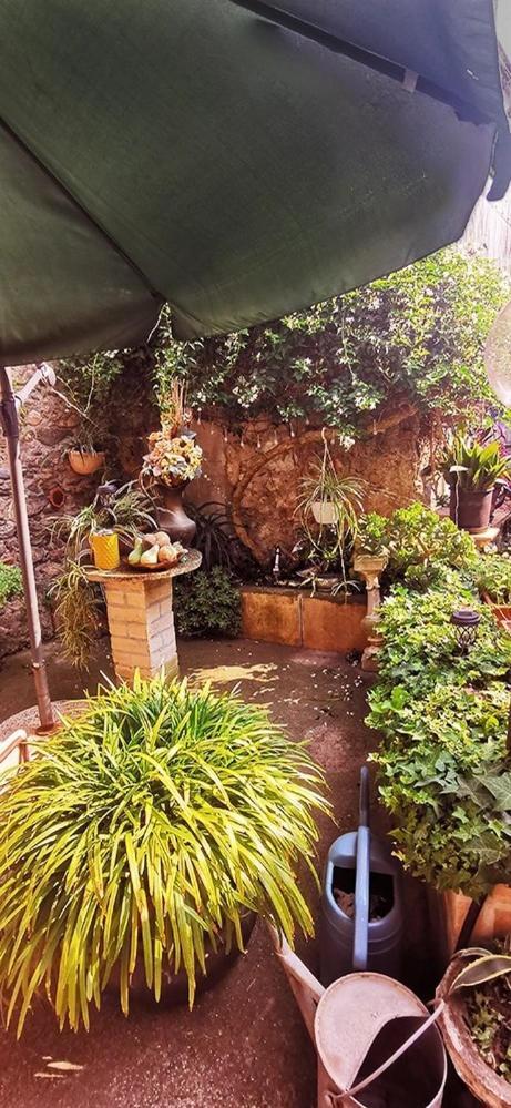 La Corte Di Quiliano Ngoại thất bức ảnh